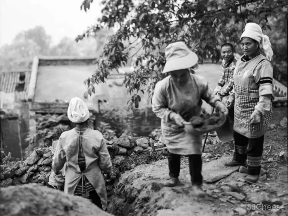 舒坦:在大理凤阳邑喝茶、洗片,他的“原生”乡建有何特别?