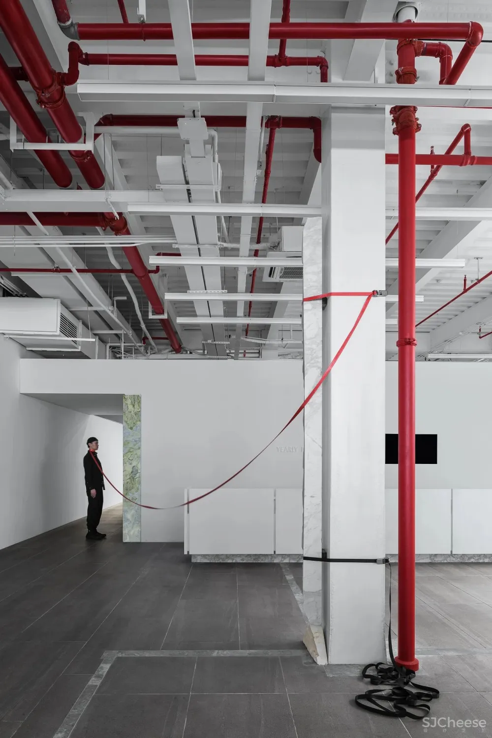 王鹏:一场跨越亿万年的爱恋!