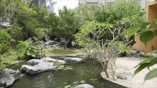 一个广东宅男,把游戏场景搬进30000m²的后花园,20年了还没造完