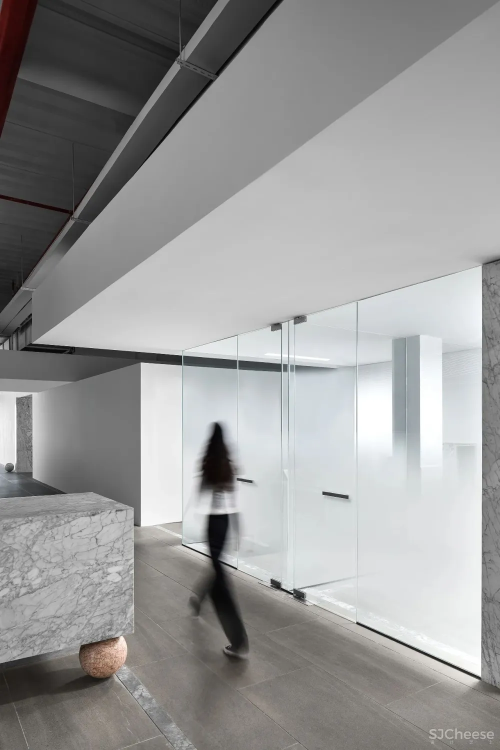 王鹏:一场跨越亿万年的爱恋!