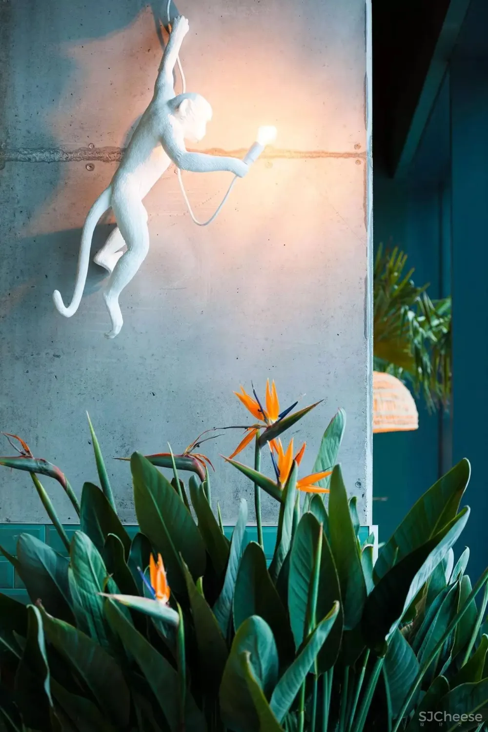 这样的餐厅设计,7秒钟!顾客就会爱上“你”