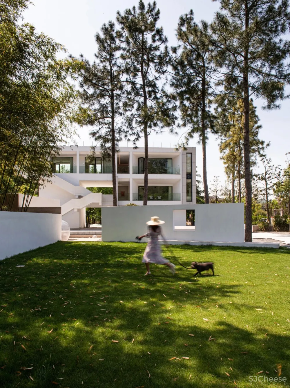 杉树林里的极美民宿