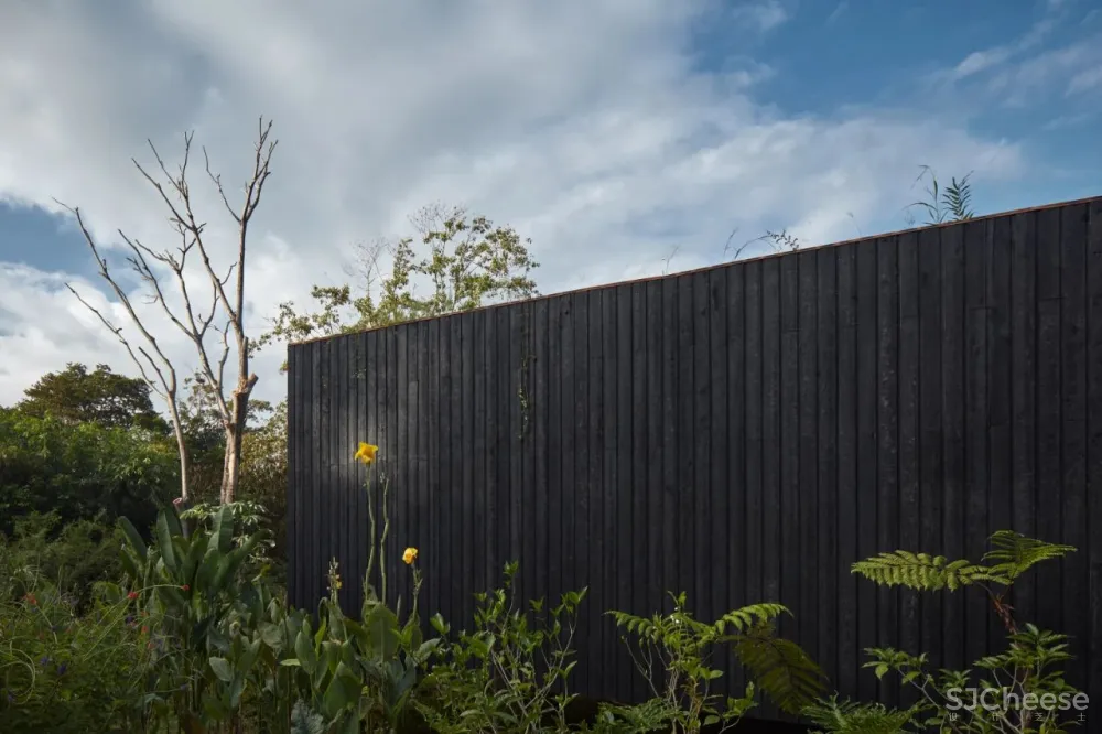 Formafatal丨哥斯达黎加超越想象的度假天堂