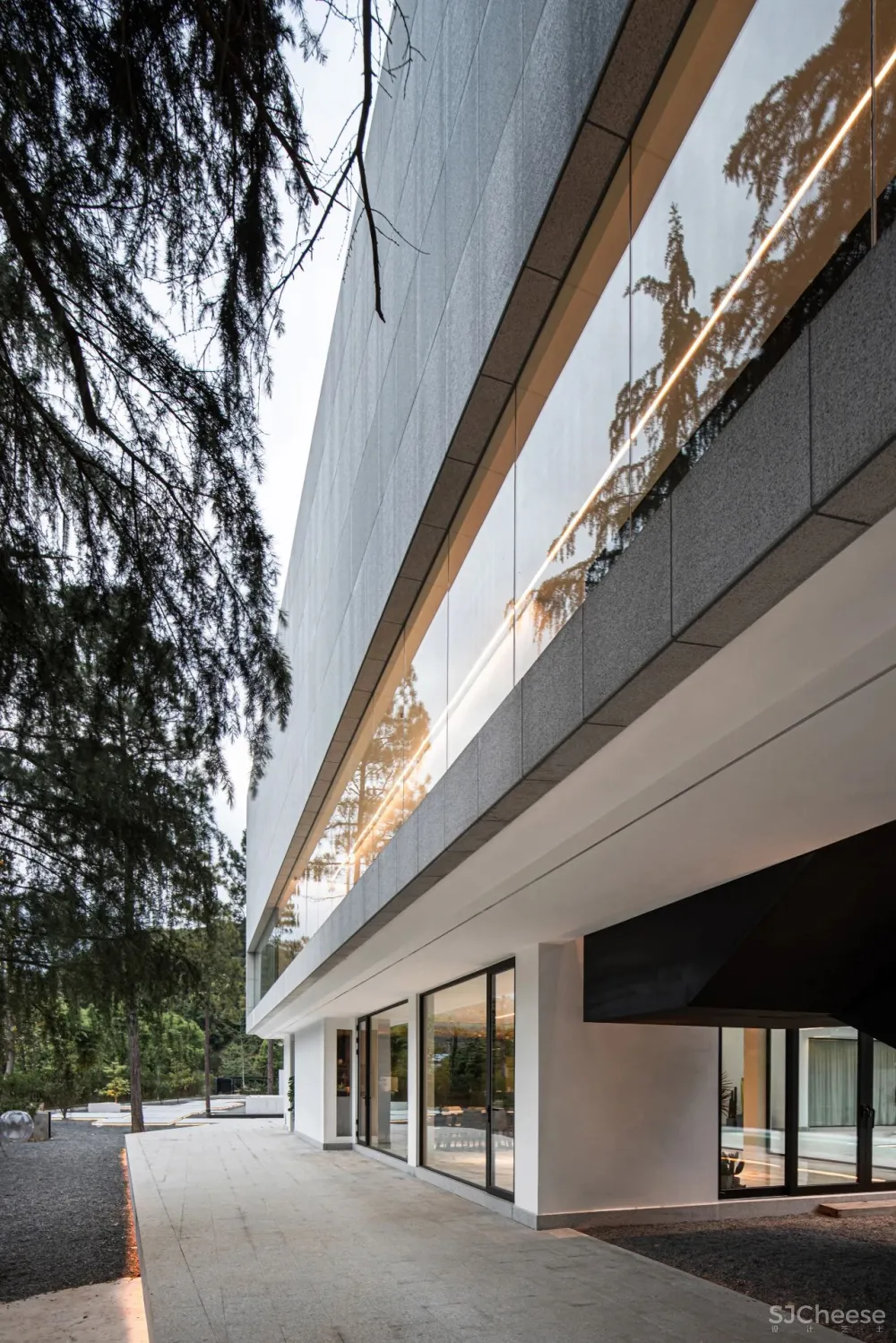 杉树林里的极美民宿