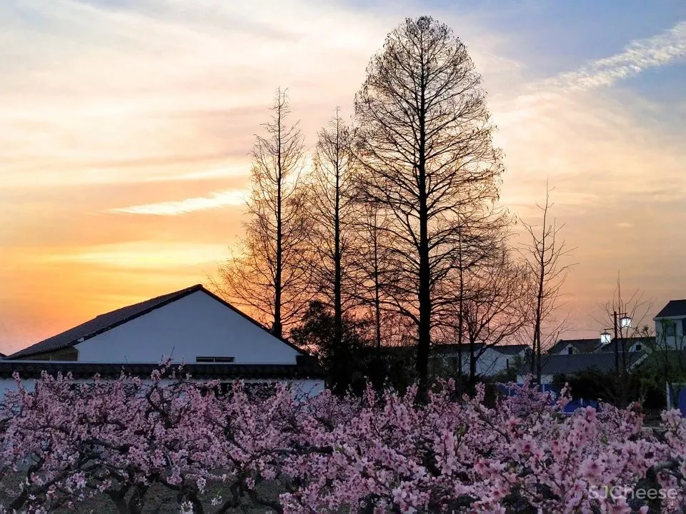 50个中国最美乡村建设案例