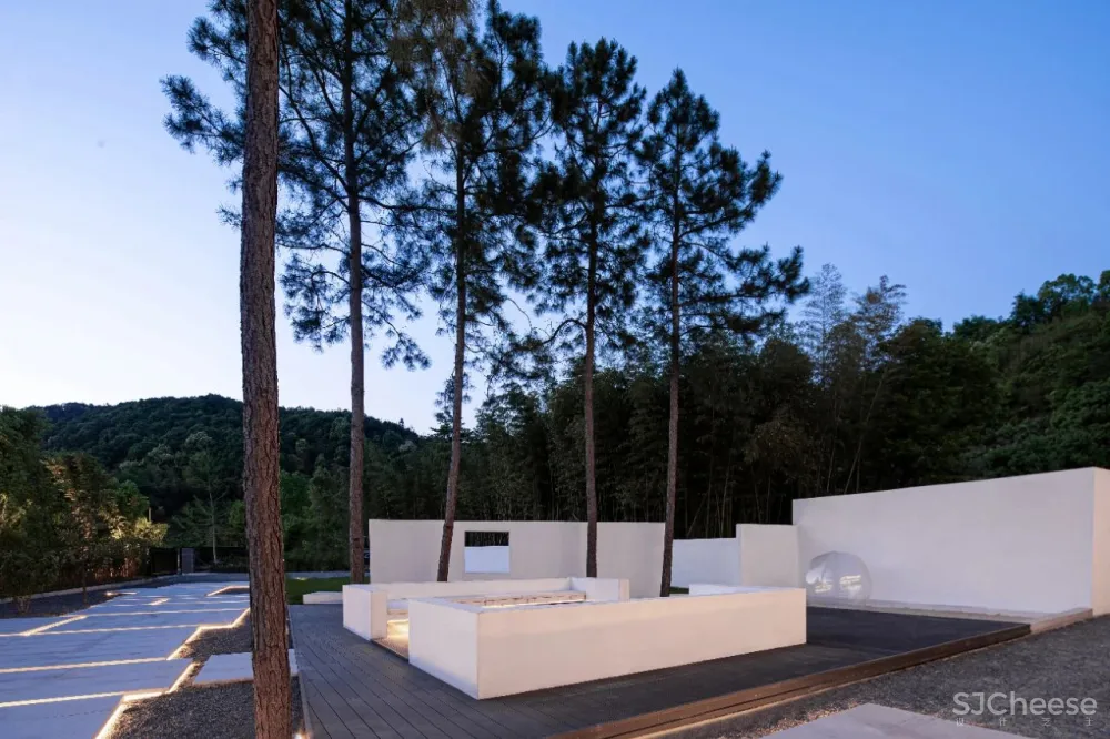 杉树林里的极美民宿