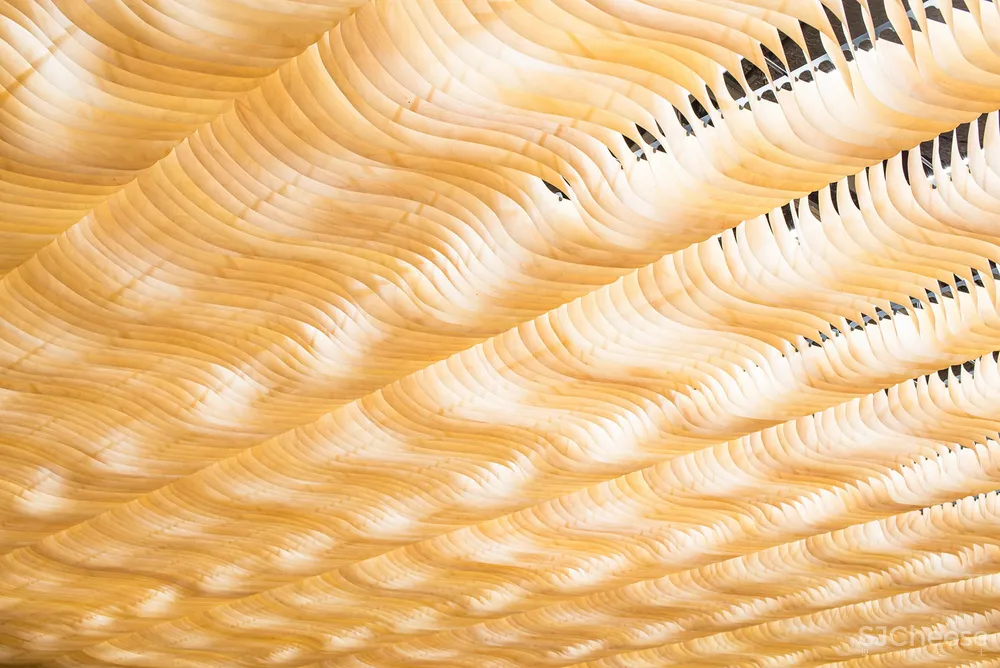 看看芬兰这栋总部大楼,没想到中庭还能这样设计!