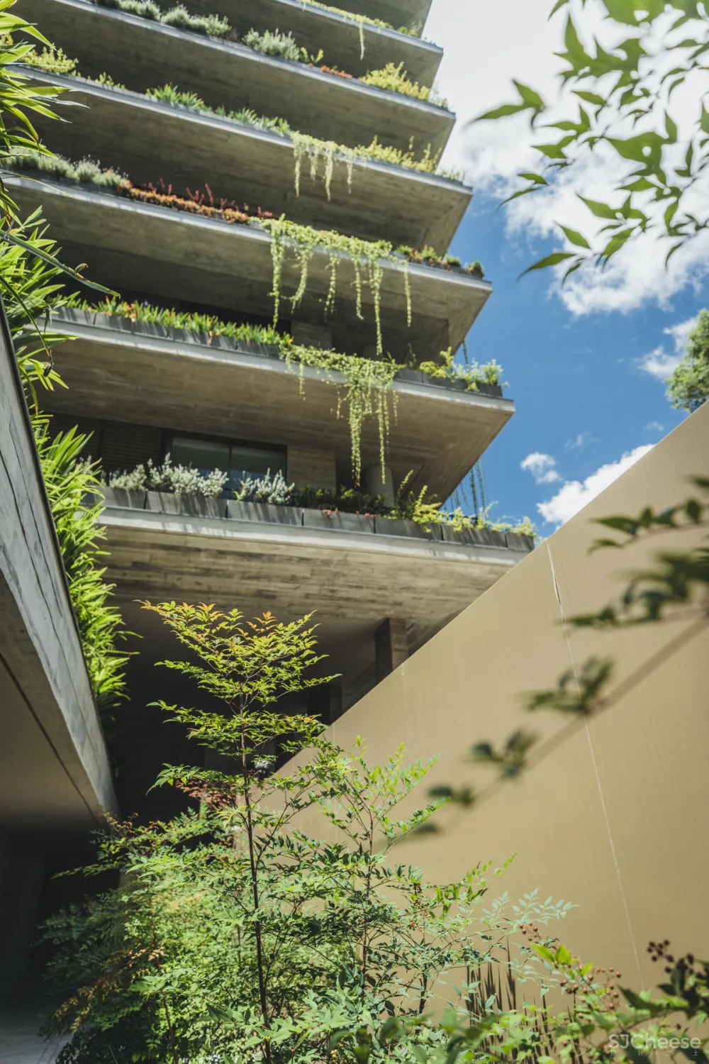 550㎡ 大平层,自然简约的画风比别墅更高级