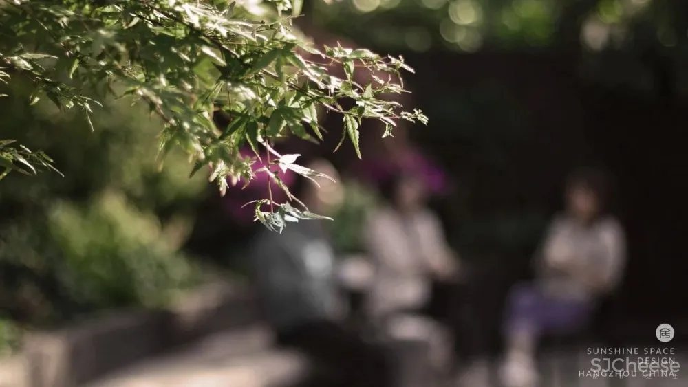 三台云舍 她和房东签下15年租约,来装成向往的度假屋