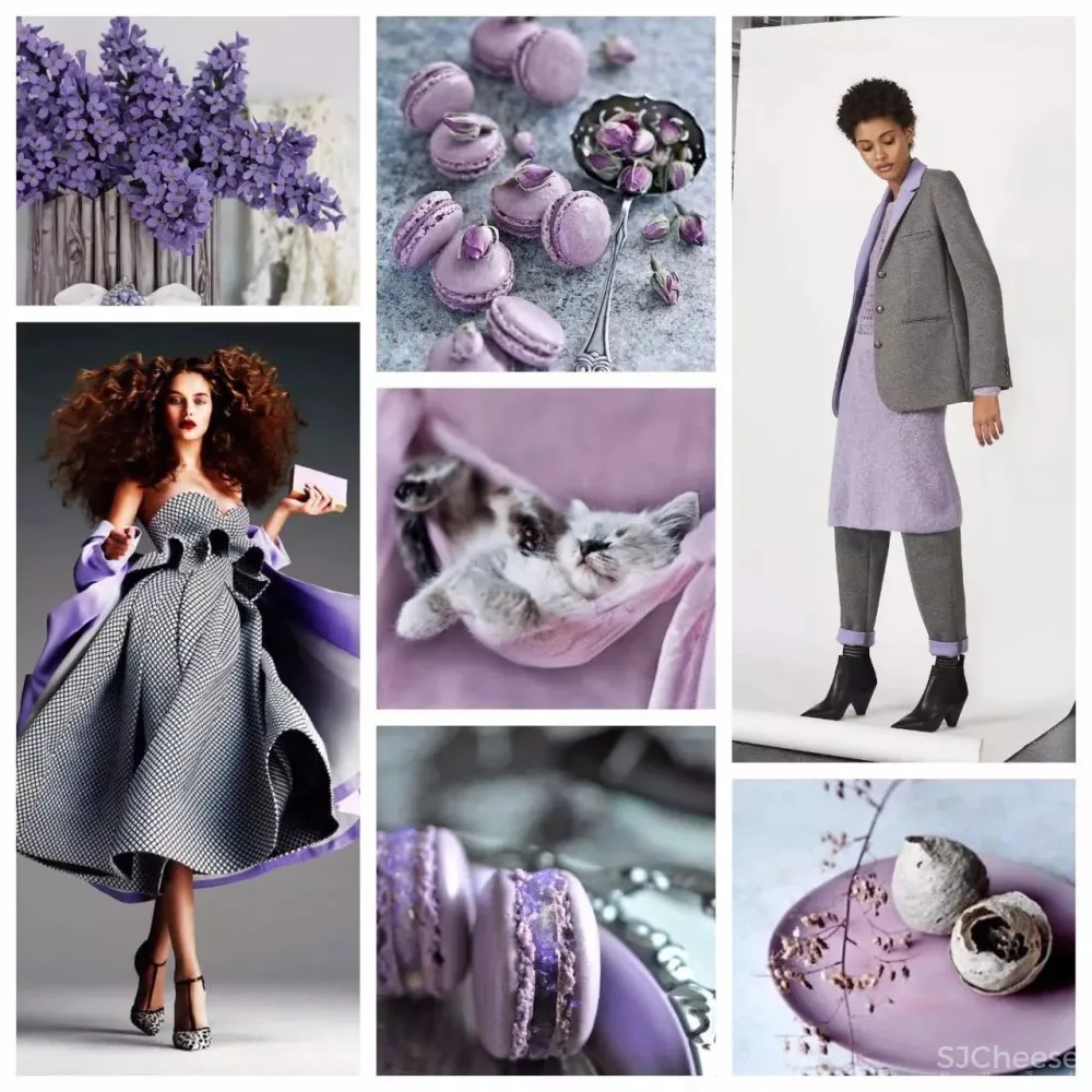 高级灰 紫色,成就不凡的高雅格调