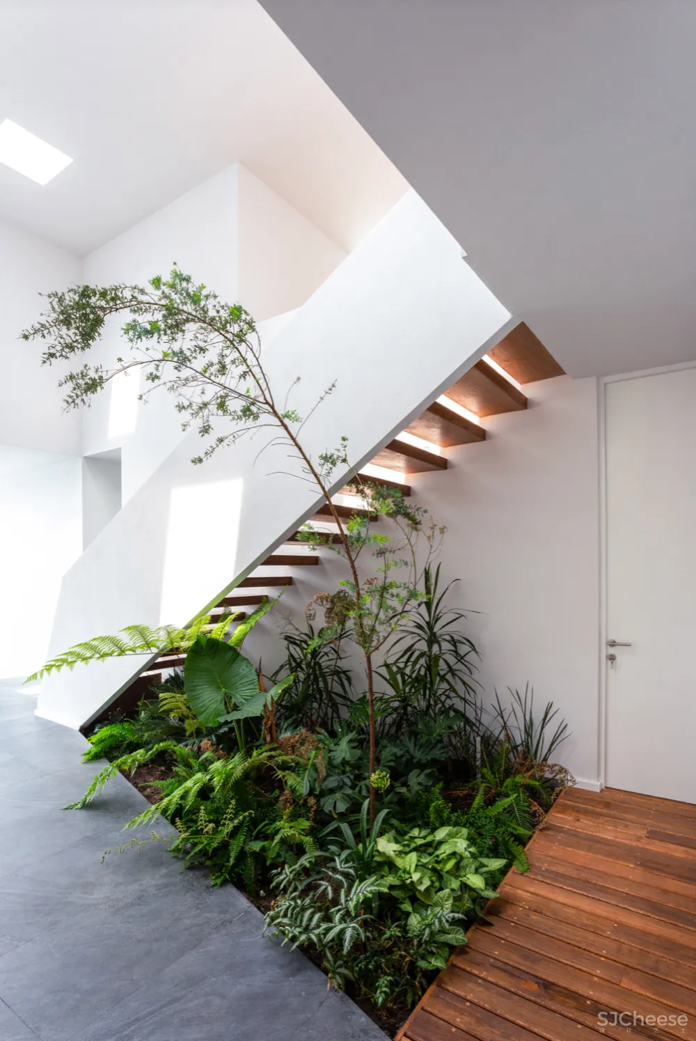 墨西哥的5个白色房子,纯净到让人感动!