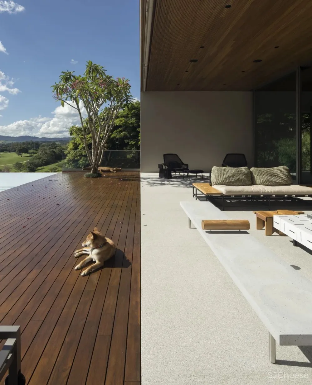 Arthur Casas 设计专辑