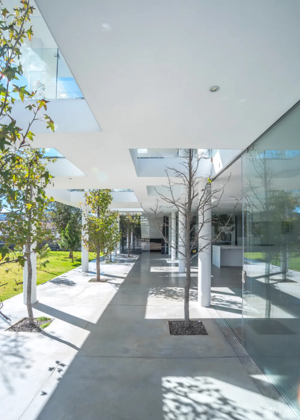 墨西哥的5个白色房子,纯净到让人感动!