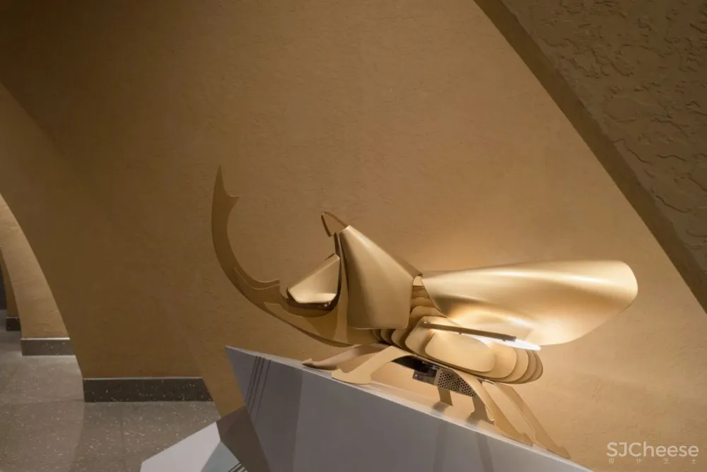 立品设计 郑铮：沙漠、森林、奇境！ 颠覆你对足浴、SPA的认知