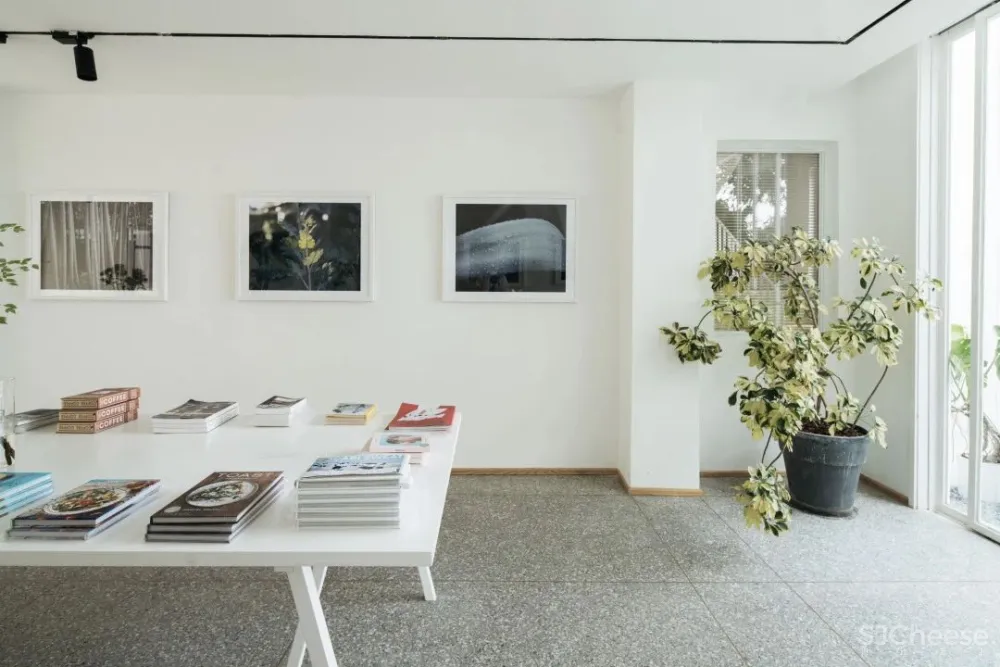 别止:重庆南山上的白房子,让人“重返18岁”