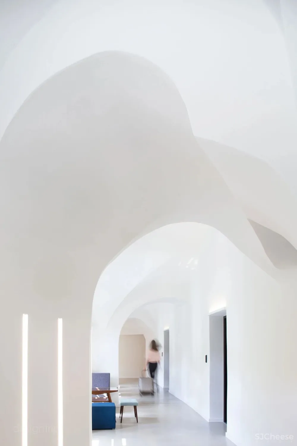 大白至简，无华而奢