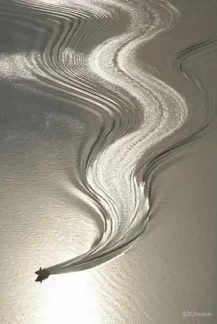 夜泊瓯江|S.U.N - 几朵