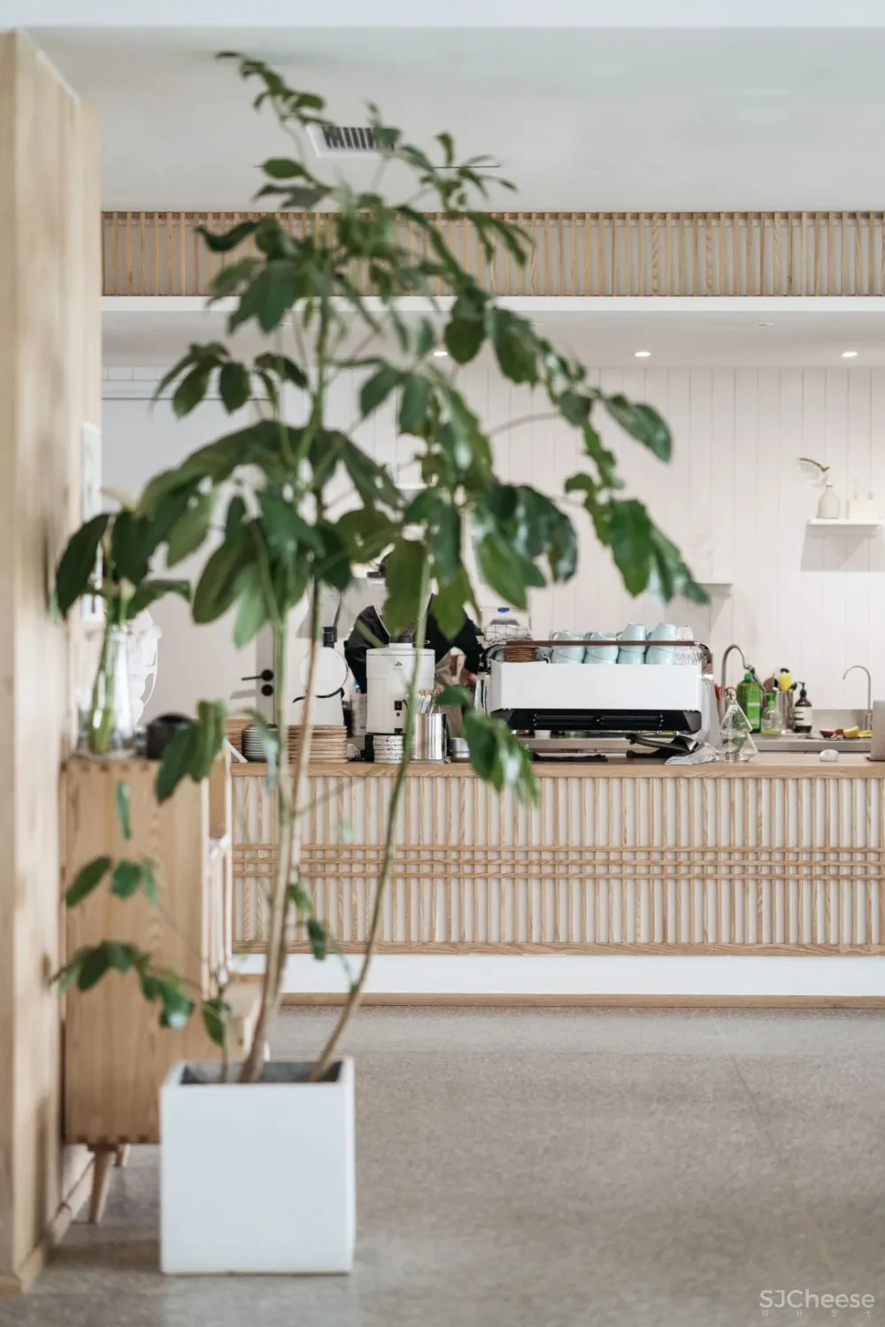 别止:重庆南山上的白房子,让人“重返18岁”