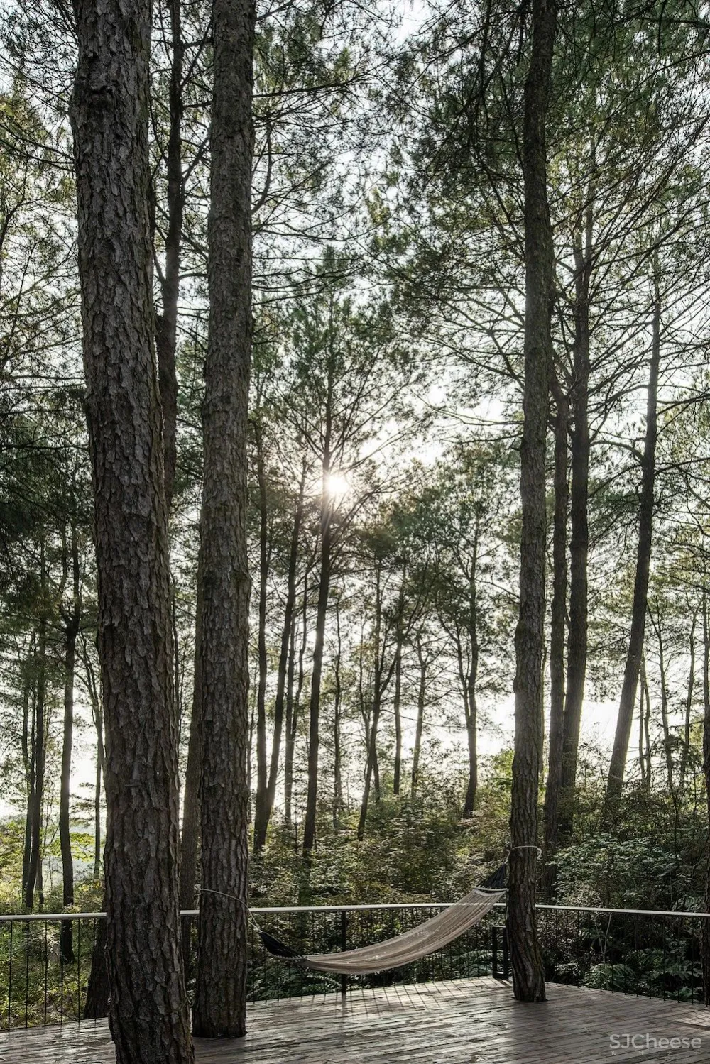 六大建筑师事务所设计的最美民宿!