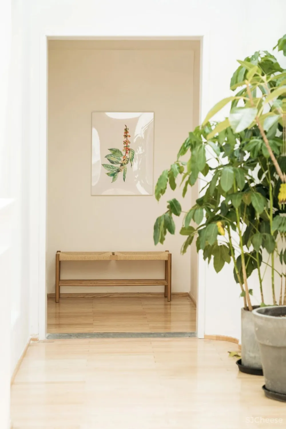 别止:重庆南山上的白房子,让人“重返18岁”