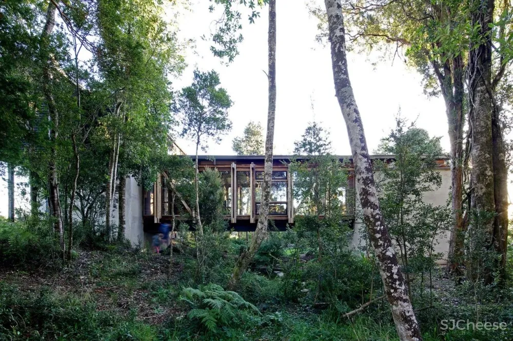 当桥遇上建筑，竟然可以这么美