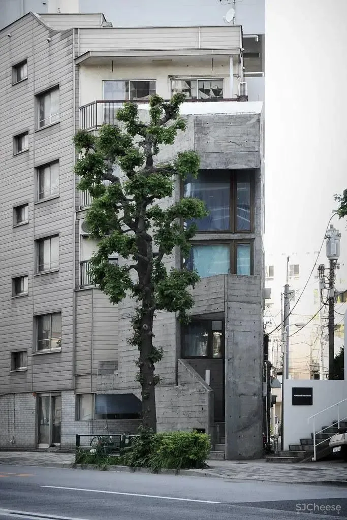 建筑师自宅合辑 家宅的日常自白（下）