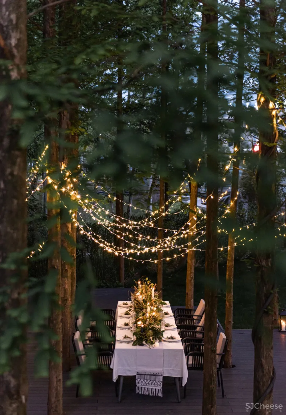 杉树林里的极美民宿