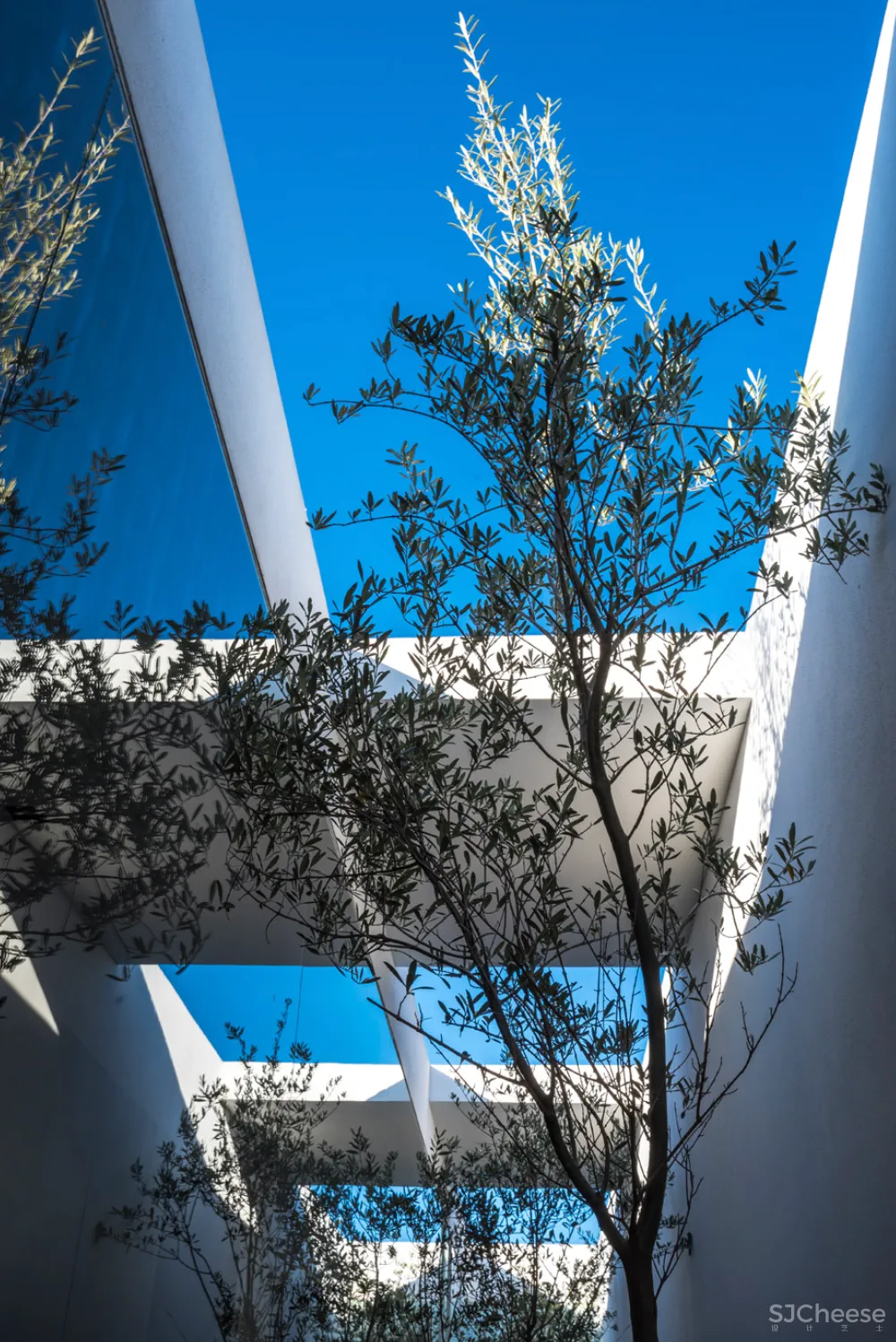 墨西哥的5个白色房子,纯净到让人感动!