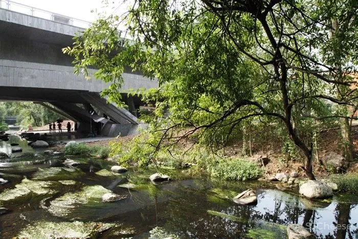 当桥遇上建筑，竟然可以这么美