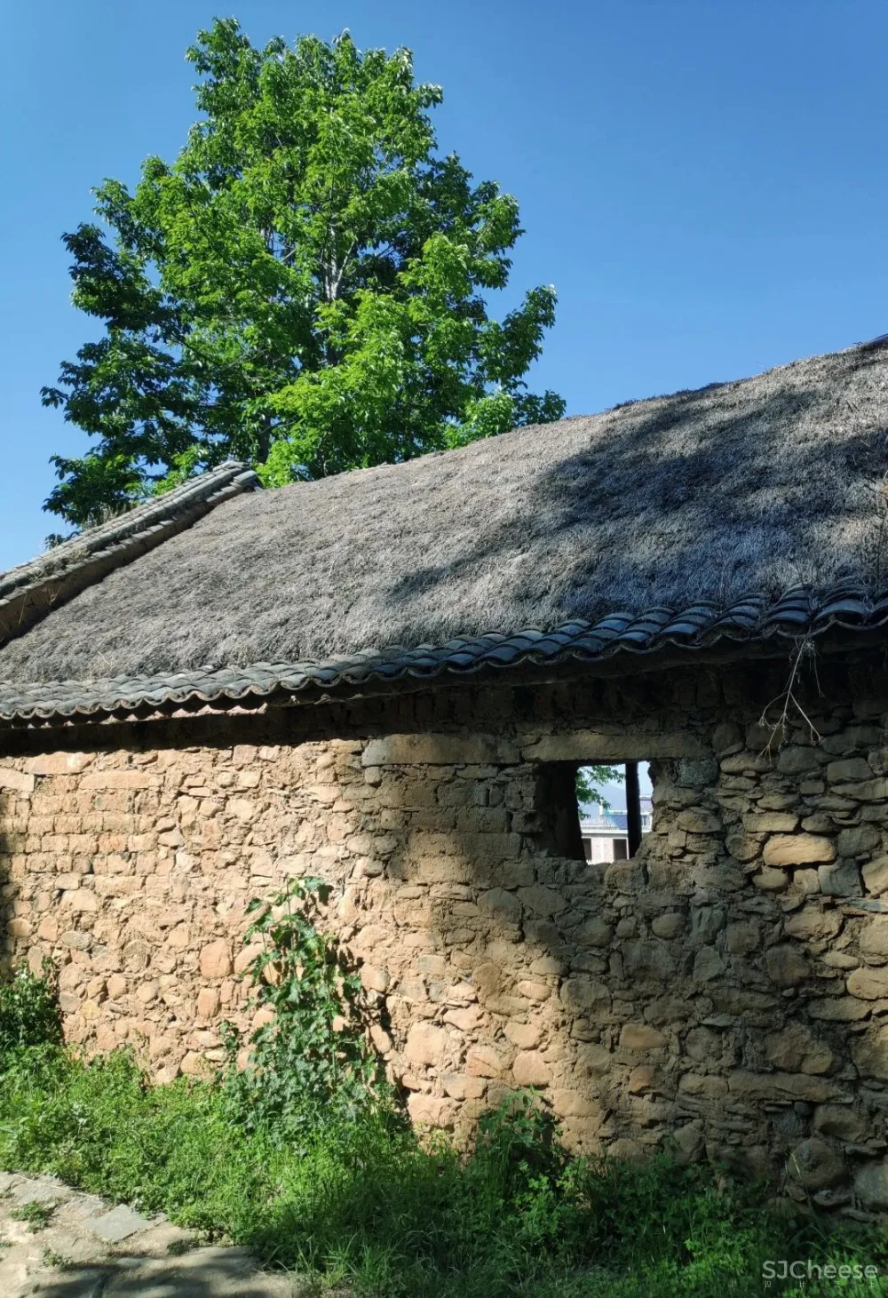 舒坦:在大理凤阳邑喝茶、洗片,他的“原生”乡建有何特别?