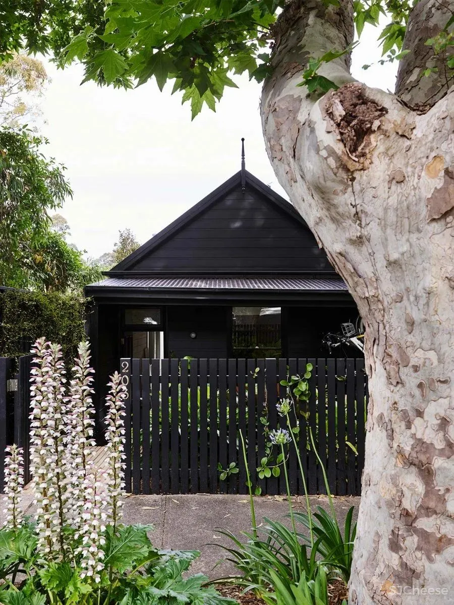 Arent - Pyke 设计专辑