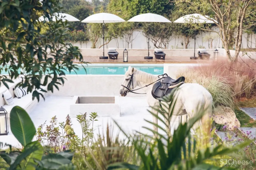 六大建筑师事务所设计的最美民宿!