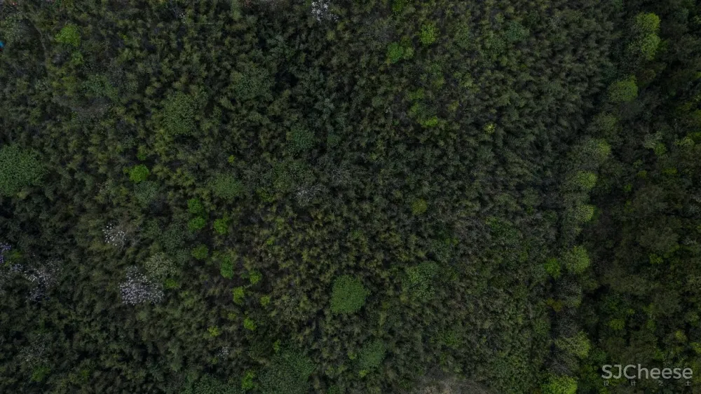 无间新作 未来山居 丰富的宁静