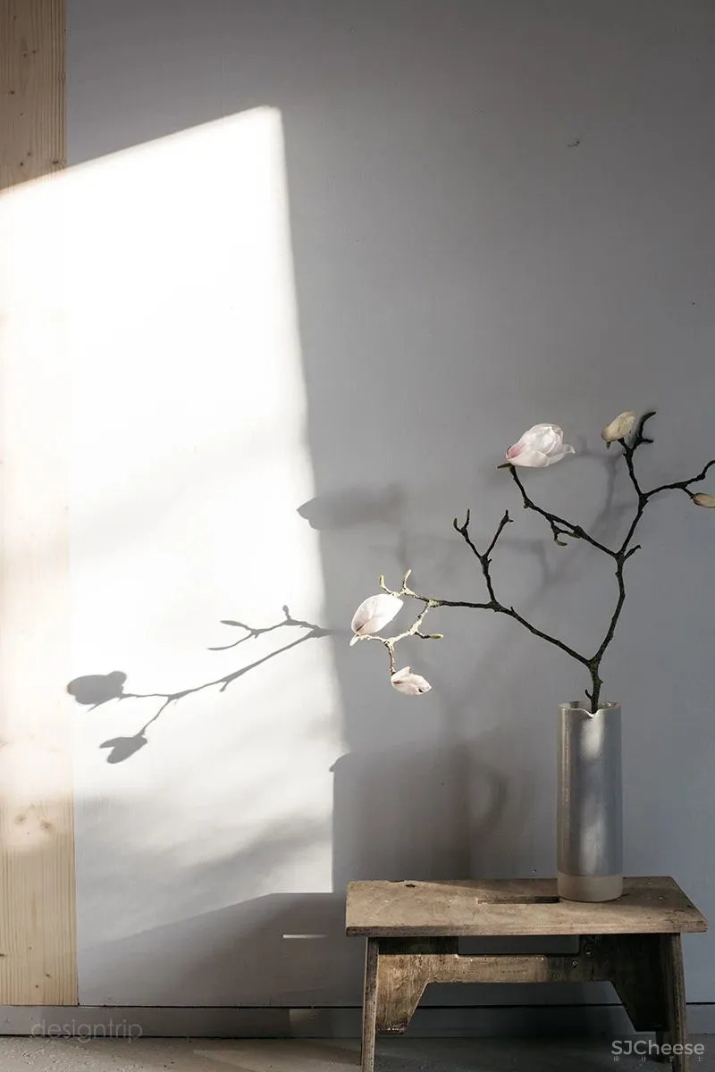 大白至简，无华而奢