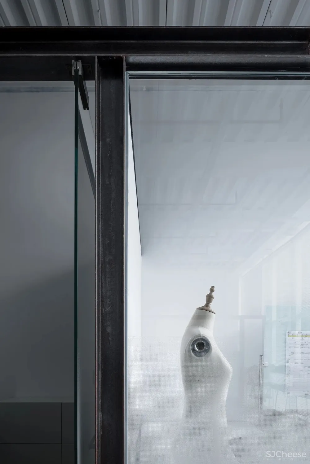 王鹏:一场跨越亿万年的爱恋!