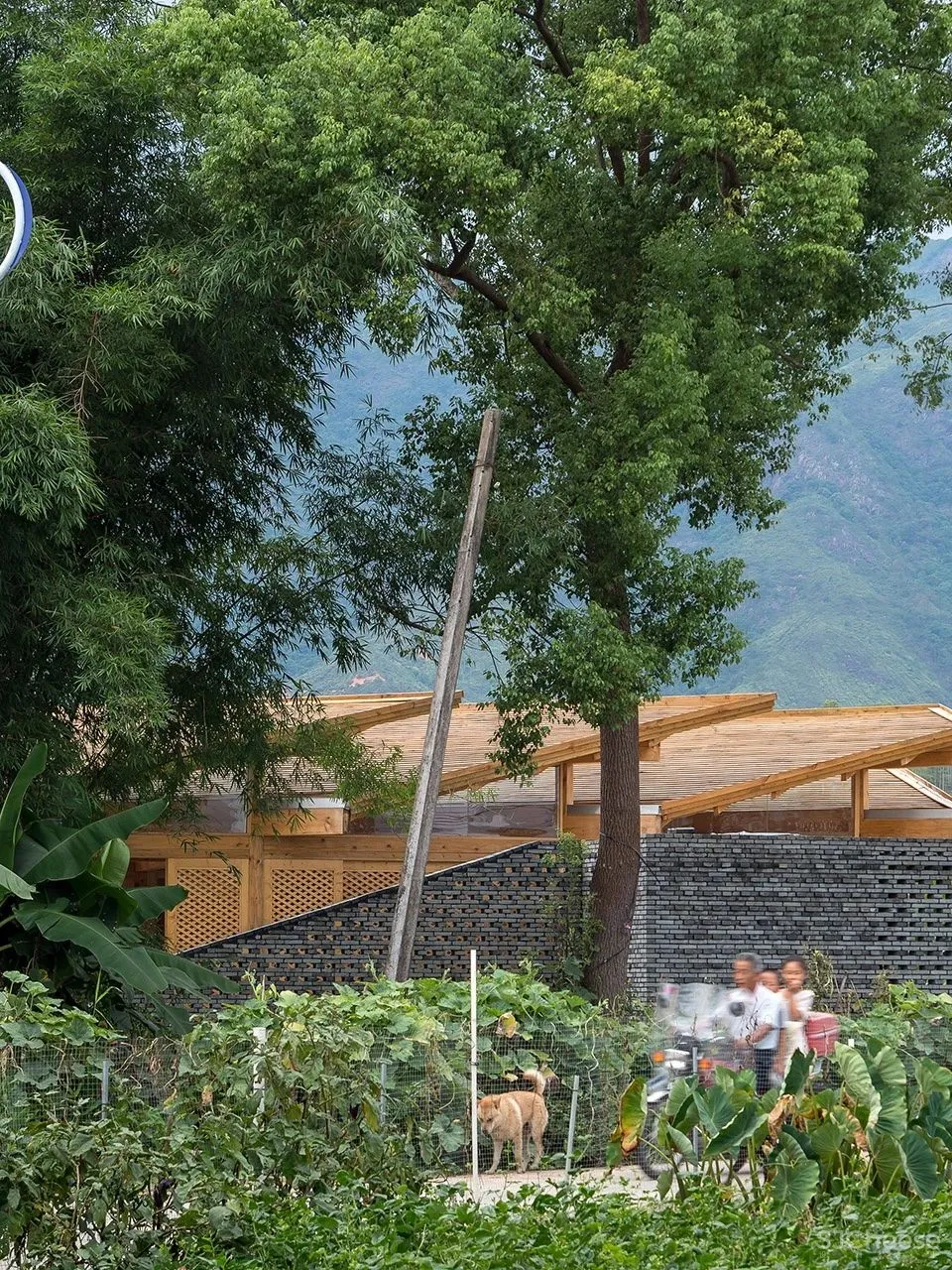 50个中国最美乡村建设案例