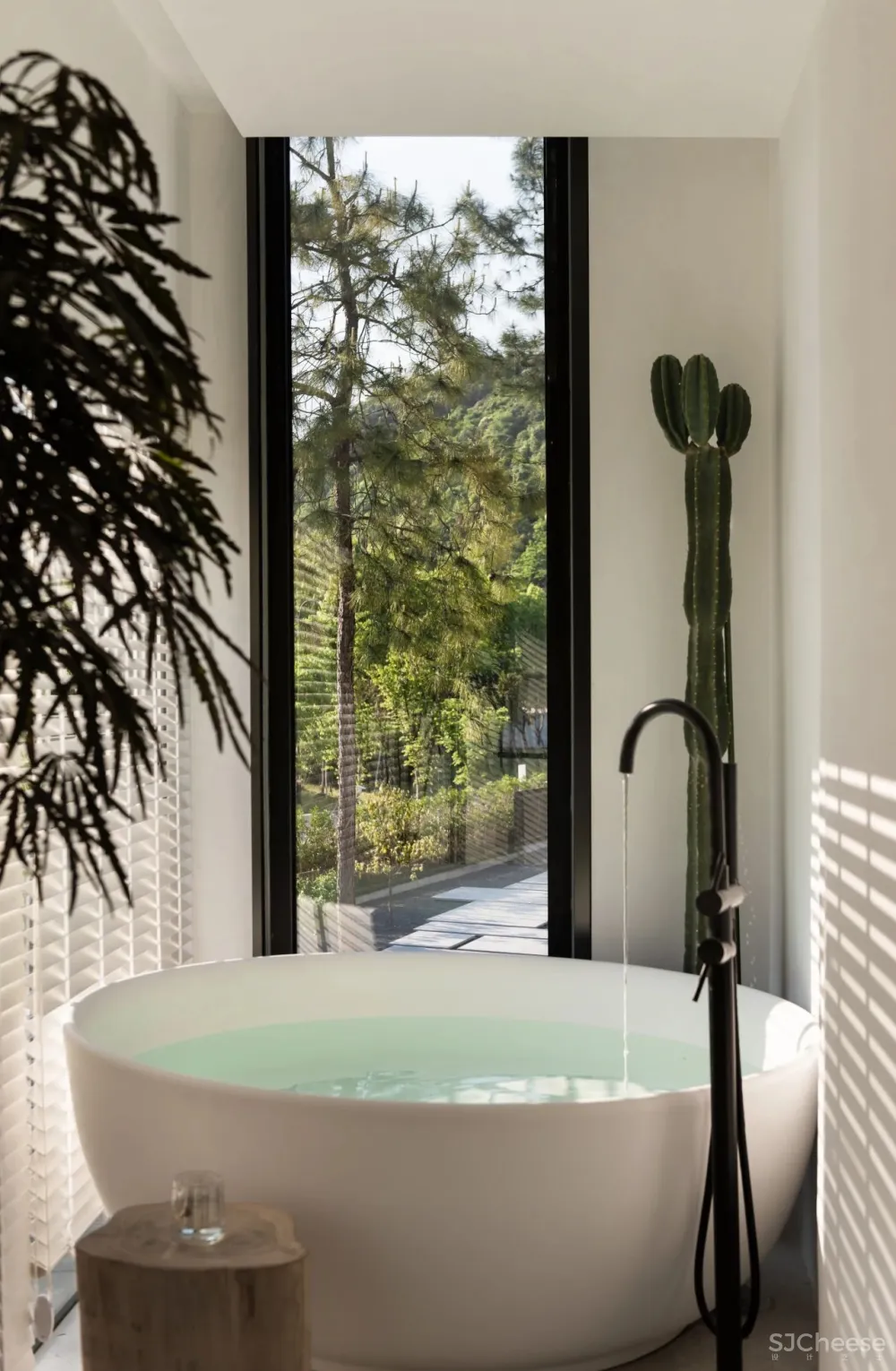 杉树林里的极美民宿