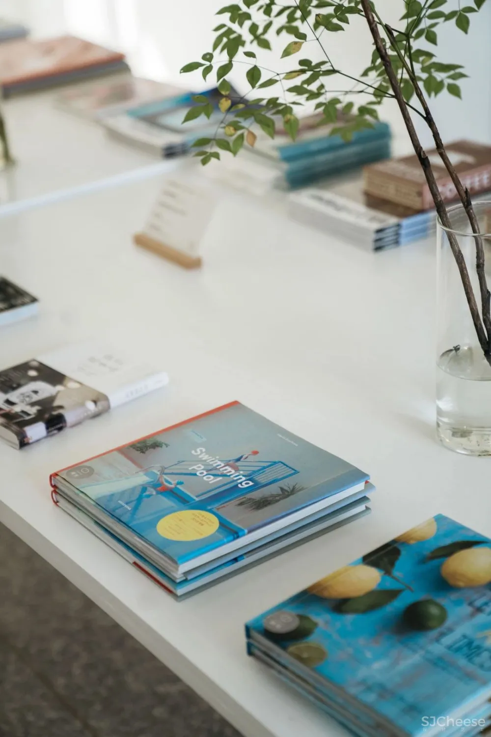 别止:重庆南山上的白房子,让人“重返18岁”