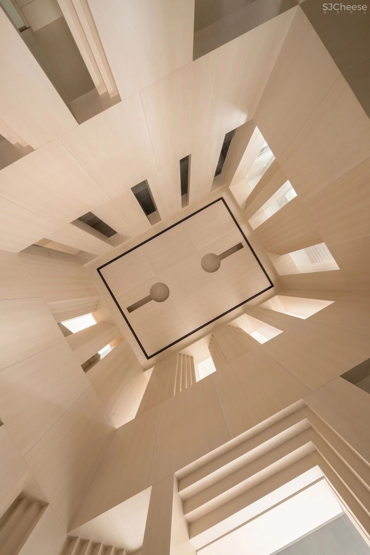 王鹏:一场跨越亿万年的爱恋!