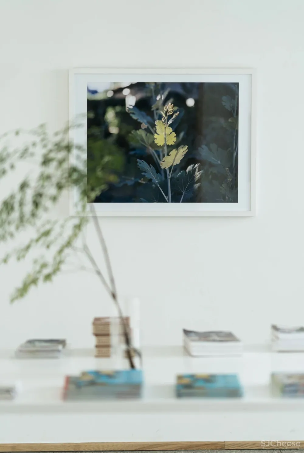 别止:重庆南山上的白房子,让人“重返18岁”