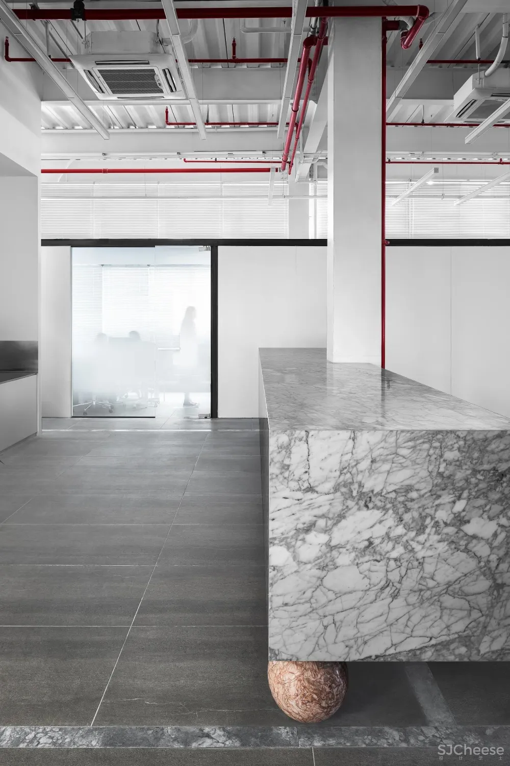 王鹏:一场跨越亿万年的爱恋!