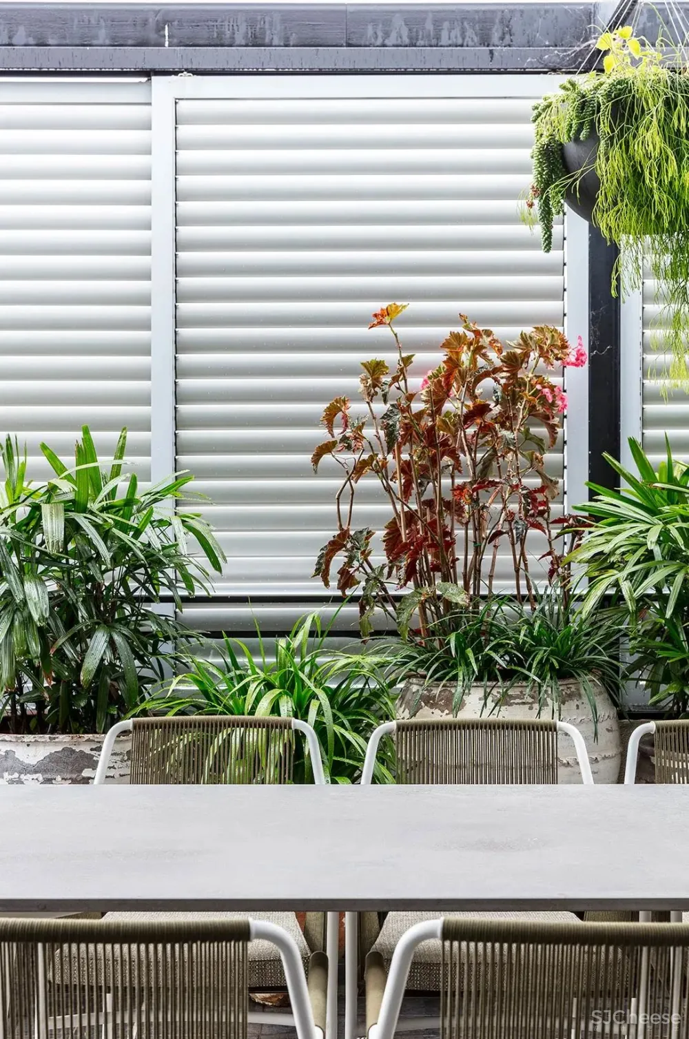 Arent - Pyke 设计专辑