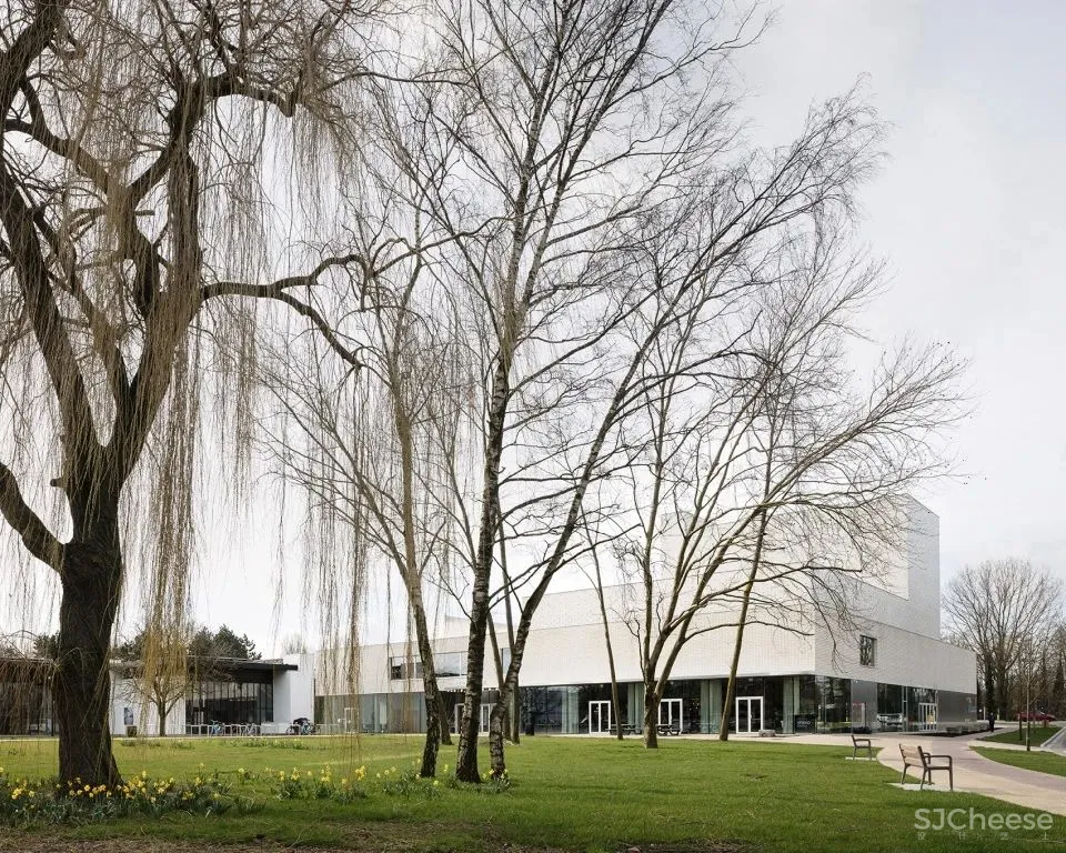 新作 画中的建筑 代因泽Leie剧院 TRANS architectuur I stedenbouw V