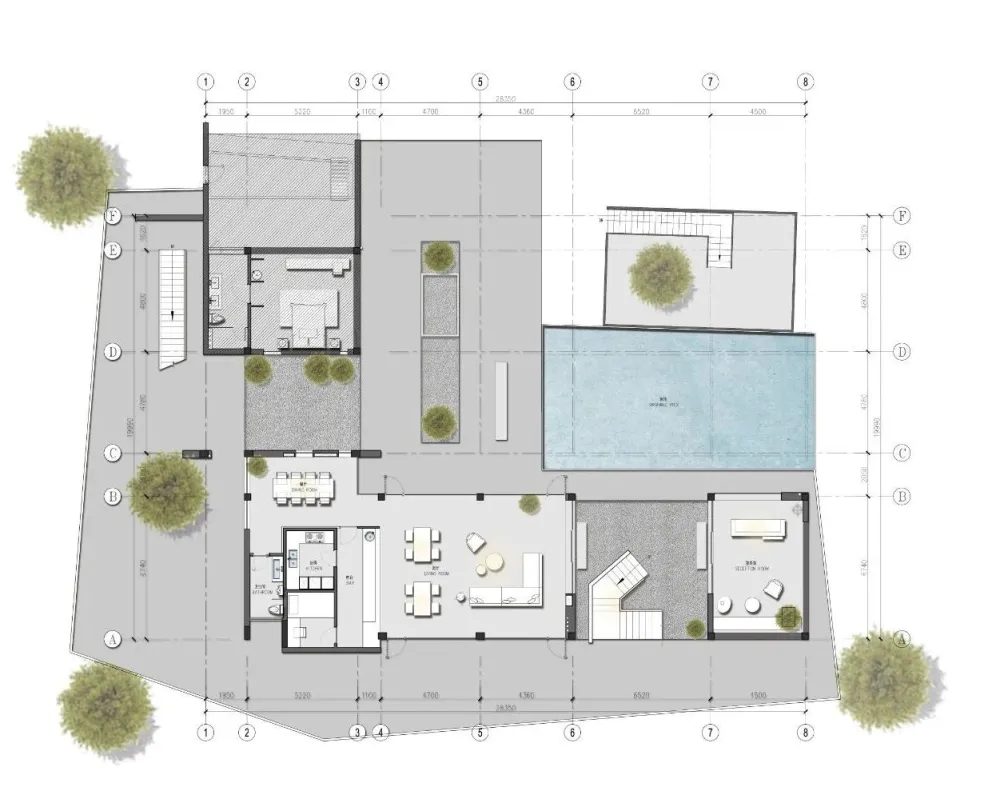 杉树林里的极美民宿