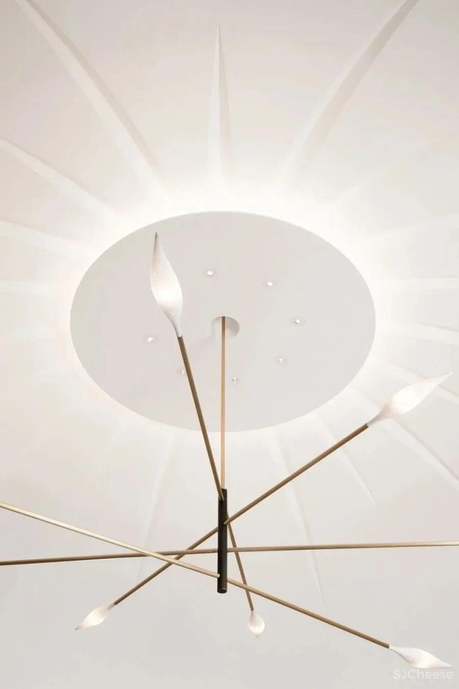 Damien Langlois Meurinne 专辑