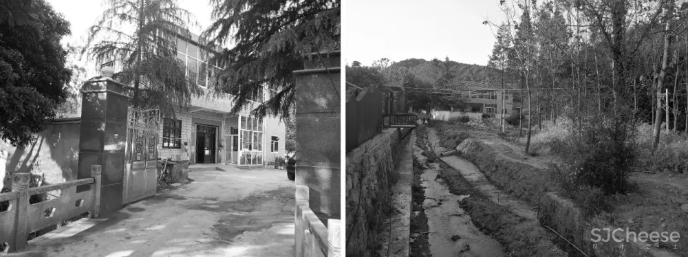 杉树林里的极美民宿