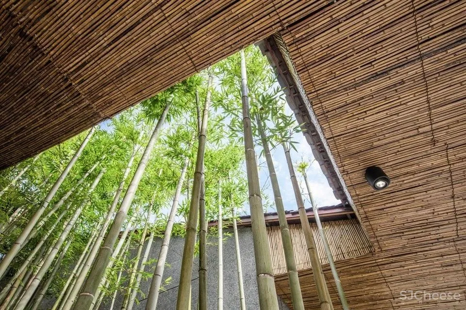 50个中国最美乡村建设案例