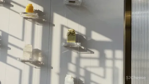 一缕书卷气韵,尽显东方智慧!