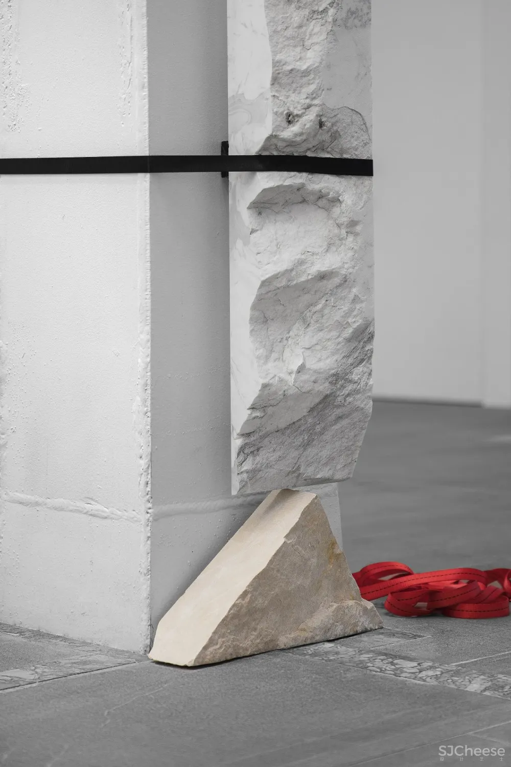 王鹏:一场跨越亿万年的爱恋!