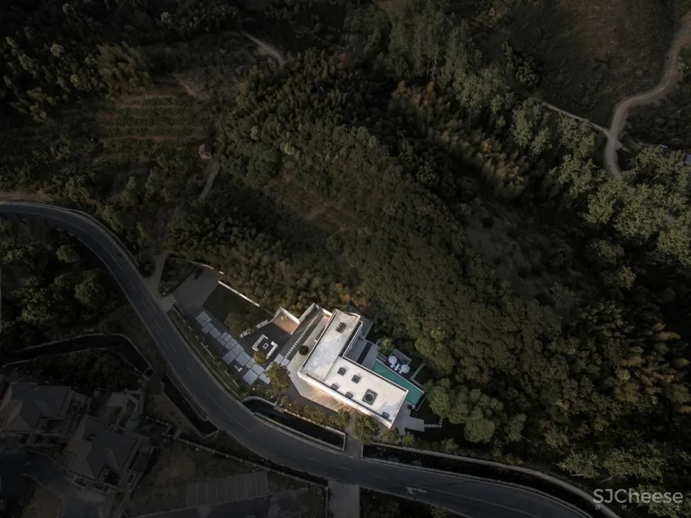 杉树林里的极美民宿